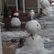 よんこ