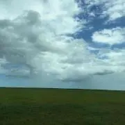 pon.の画像