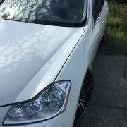 Y50