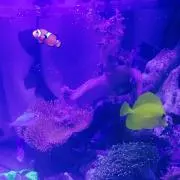 まる　※プロフご一読ください※の画像