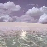 P.Tの画像