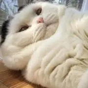 さぐ