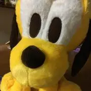 AYAの画像