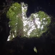 Haru☆の画像