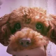 くるみんの画像