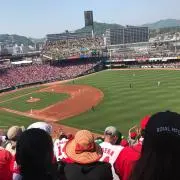 ぬーこの画像