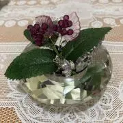 もずく