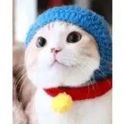 Hik