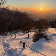 山中お猿の画像