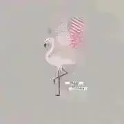 Flamingouの古着の画像