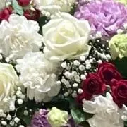 Marieの画像