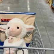 めめめの画像