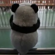 べーすけ