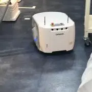 エビの画像