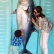 りんちゃんの画像