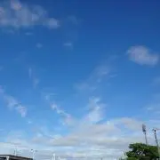 パタラ