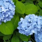 コメント・必ず購入前にプロフみてね♫ゆうの画像