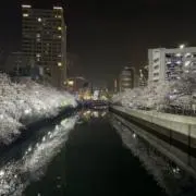 笑顔