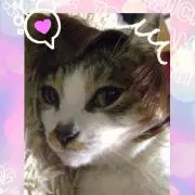 りんりん