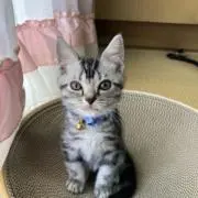 babykitty♡