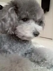 T※※必ずプロフご確認下さい！！の画像