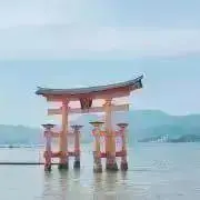 Tkcの画像