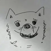 KOTORIの画像