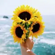 Kの画像