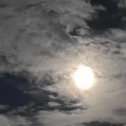 サナ 8/3～12発送できません。の画像