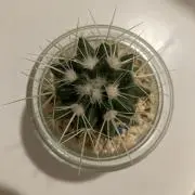 ☆プロフご確認下さいの画像