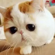 ろみ