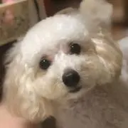 まー