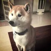 hiroの画像