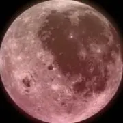 ピーナッツの画像