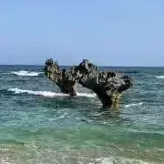なしの画像