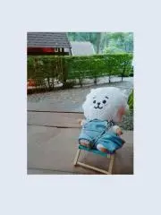サリーの画像