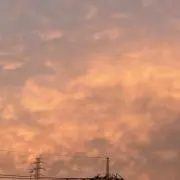 ruruの画像