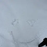 はんだの画像