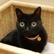 たなかの画像