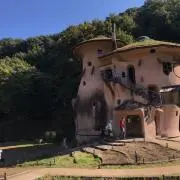 メイの画像
