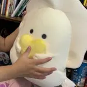 すしの画像