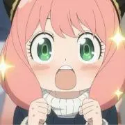 ぬこぬこの画像