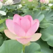 ミミ⭐︎プロフィール確認お願いしますの画像