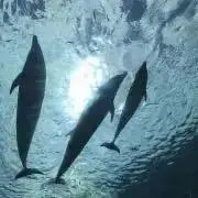 まる