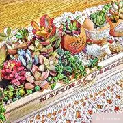 rkrの画像