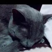 ロキ