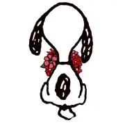 AKIの画像