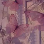 なめこの画像
