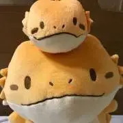 KENTA