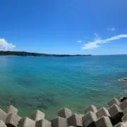 でこの画像